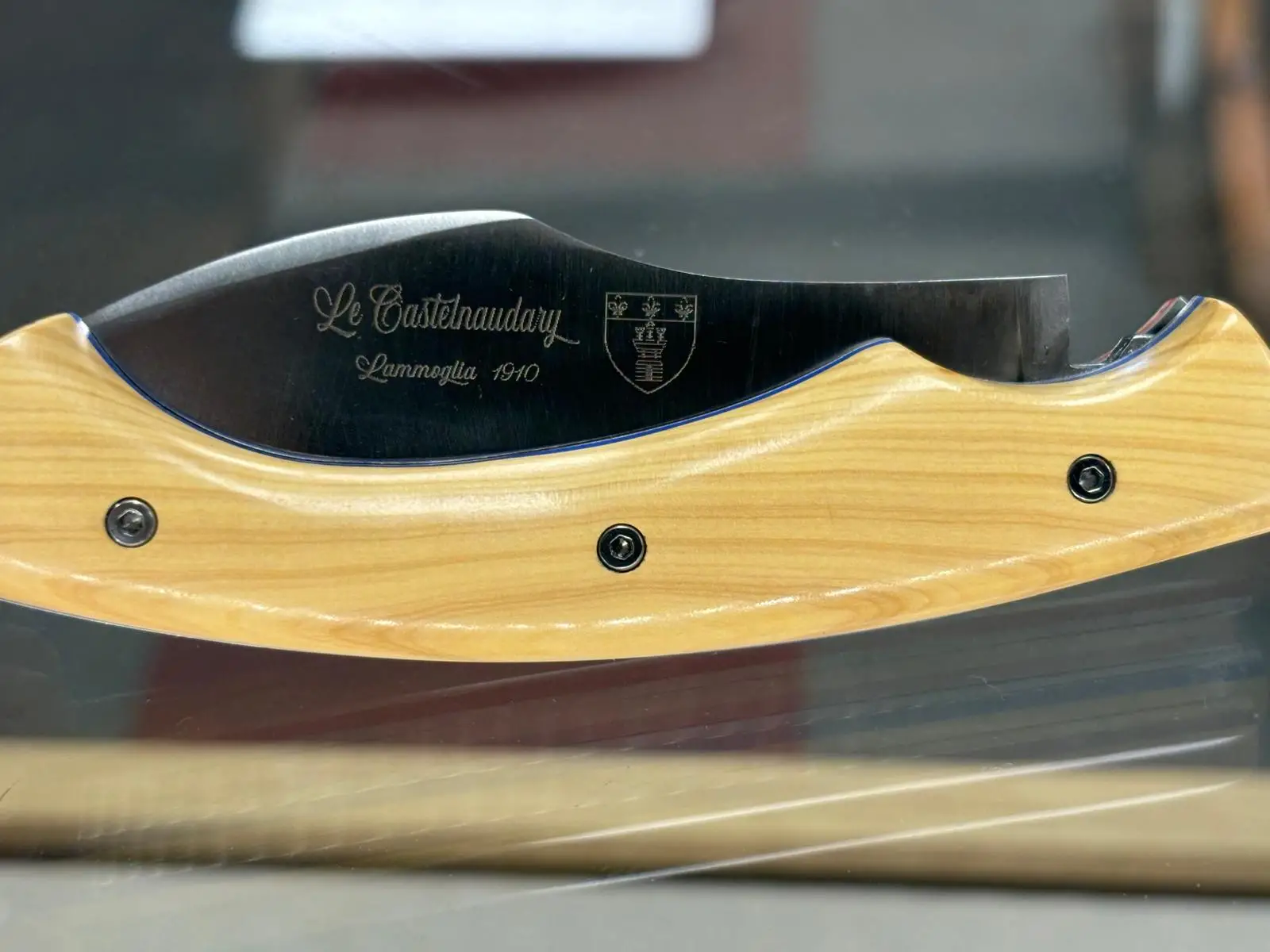 IMG-20251011-WA0000 Le Castelnaudary